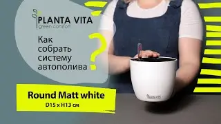 Поставить растение на рабочем столе или в комнате в небольшое кашпо с автополивом