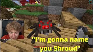 Tommy gets a pet spider and names it Shroud