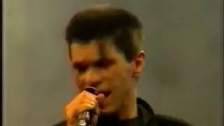 Jelena