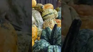 Осень в Швейцарии 