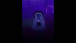 money money green green (fw)