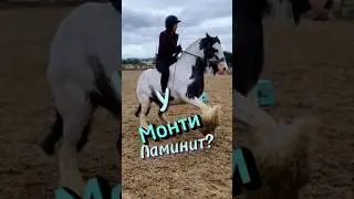 Ламинит ?