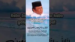Kebo Berantem I KH Zainudin MZ I Dai sejuta Umat #shorts #daisejutaumat #ceramah
