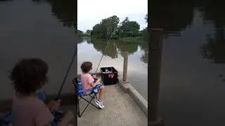Catching a dog fish