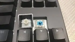 Ducky ONE Typing Sound (Cherry MX Blue)