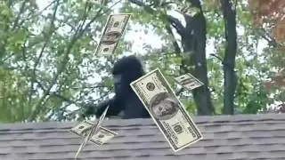 MLG BIGFOOT