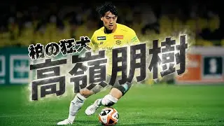 柏レイソル 高嶺朋樹🔥プレー集 2023-24