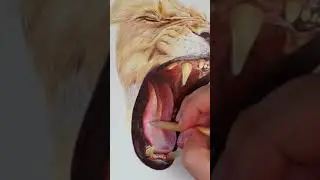 Drawing A Lion With Color Pencils 