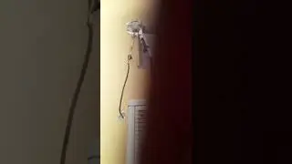 Un técnico de a De veras