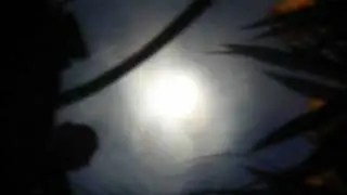 Can Moonshake