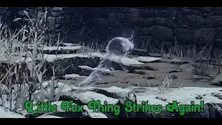 Three Idiots go play in the snow