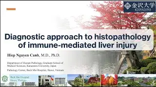 Liver Pathology 4VN_01