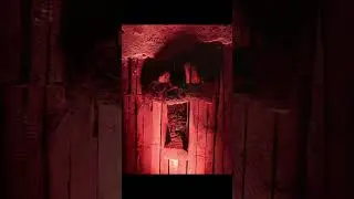 сюжеты с Питера.. Цой.. выставки. прогулки .. коммуналка и тд
