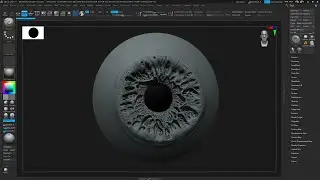 Iris Speed Sculpting - Part 02
