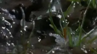 Radiohead 