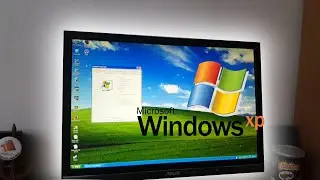 Living with Windows XP in 2019