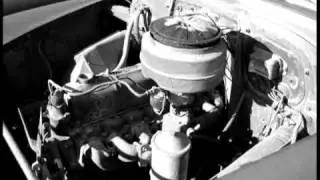 My Old Yellow Car - Tim Tyler