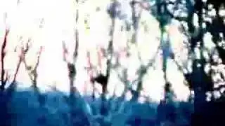 manicmanic-theoffering