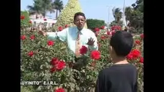 HIJO MÍO.  LUCIO LAINA 