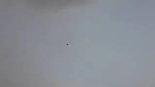 Tiddi ka toofan Sehwan