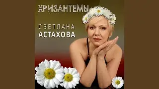 Расцвели хризантемы опять