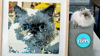 Cat Portrait using 4,096 LEGO Bricks! (Timelapse and Tutorial)
