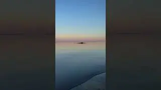 #краснодарскоеморе#хуторленина#краснодар#природа#жизньвкраснодаре