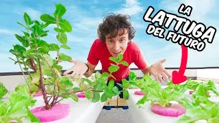 Ho Costruito un Orto Domotico in Terrazzo  - Pt. 1