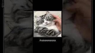 комару и заткнись тварь скуф 