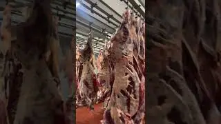 Озонируем мясной цех 👍🏻