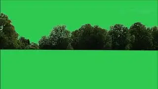 Tree green screen video, Green screen tree, tree green screen effect kinemaster, P-52
