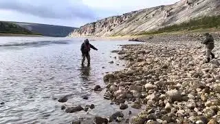Таймени Путорана