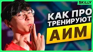 ПРО ТРЕНЕР разобрал тренировки АИМа PRO Игроков в Валоранте