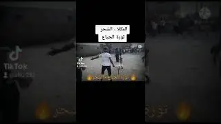 مظاهرات واسعة في مديريات حضرموت تطالب برحيل التحالف و تحسين الوضع المعيشي  #التحالف #مظاهرات_الجنوب