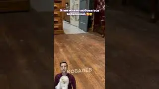 Этим можно любоваться бесконечно 🥰🤪🤣 