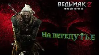 Ведьмак 2:Убийцы королей-По следам Седрика(Путь Роше)