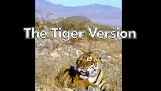 Wild and Exotic Animal Attacks