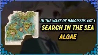 Search in the Sea of Algae - In the Wake of Narcissus Act 1 Genshin Impact Fontaine 4.2 World Quest