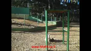 אימון כושר קבוצתי בחדרה מאמן אישי לכולם MYFIT.CO.IL