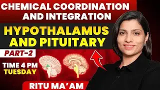 Hypothalamus and Pituitary 02 | Chemical Coordination and Integration Detailed class | Ritu Rattewal