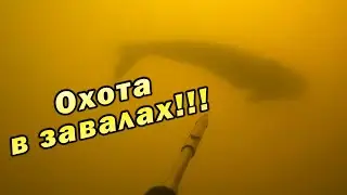 ВЕСНА 2024!!! ПОДВОДНАЯ ОХОТА В ЗАВАЛАХ И РУСЛЕ!!!
