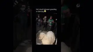 what should I do dancing or guarding 🤪🤪🤪🤪