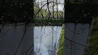 В Летнем саду 🌿
