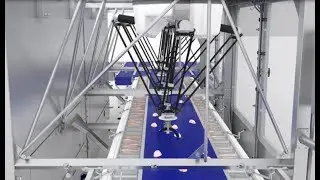 Marel 2018 innovation review: Robot with a knife