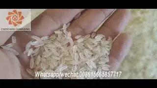 Artificial rice machine/fortified rice production line Jinan Sunrising
