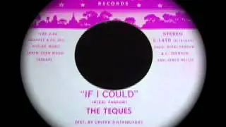 The Teques - If I Could