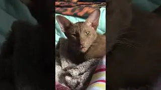 ❤️КСЮ👍