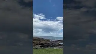 Sydney NSW shally beach