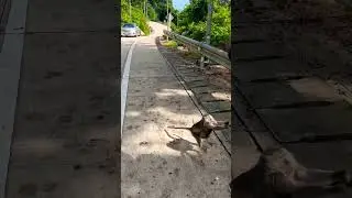 Подпишись и увидишь много интересного ✅