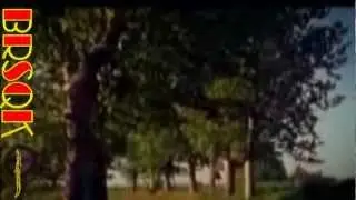 Мария_Веселин Маринов